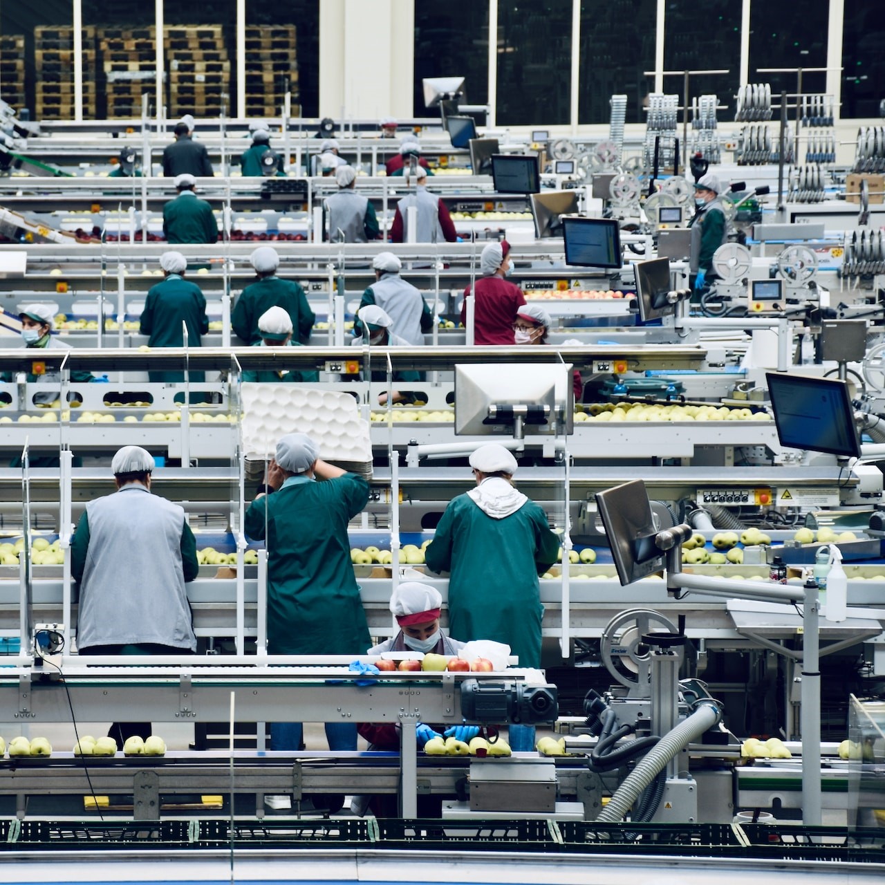 Agriculture & Agribusiness